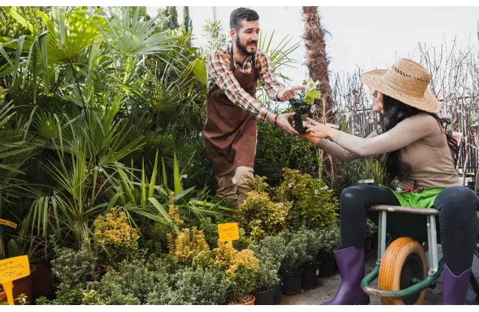 DecadGarden Yard Tips by DecoratorAdvice