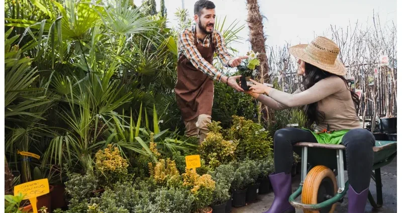 DecadGarden Yard Tips by DecoratorAdvice